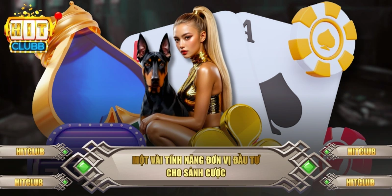 Một vài tính năng đơn vị đầu tư cho sảnh cược