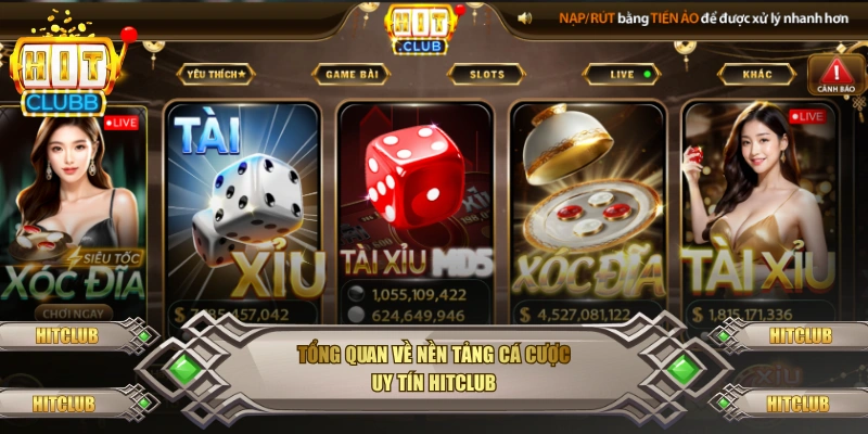 Tổng quan về nền tảng cá cược uy tín Hitclub